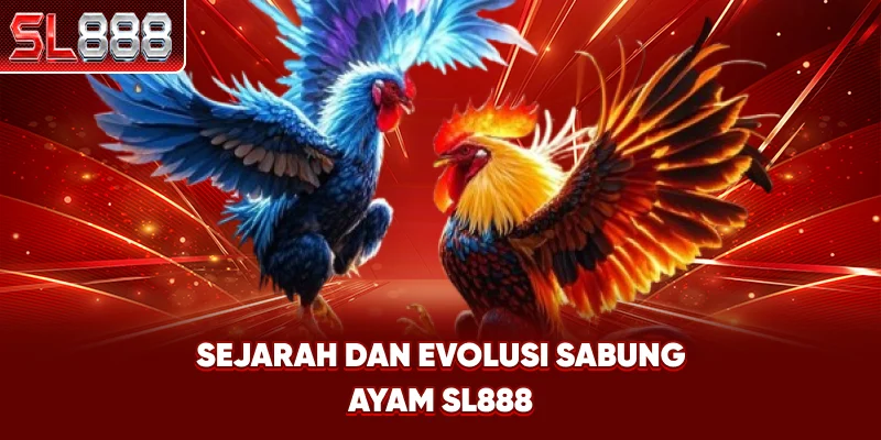 Sejarah dan Evolusi Sabung Ayam SL888